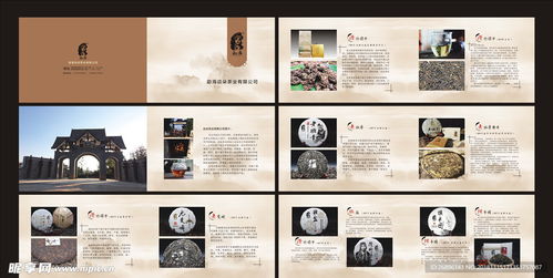 茶韵尽显 专业茶叶产品画册设计图代理代办服务
